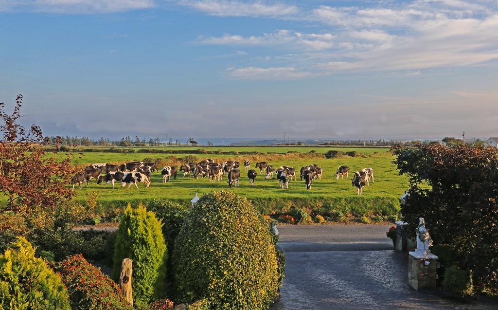 Newtown Farm Country House Ardmore  Exterior photo
